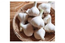 オーガニック  上富良野町産ニンニク 1kg（15～20個）