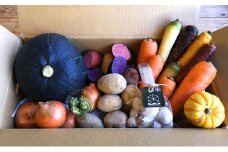 上富良野産 秋のオーガニックお野菜セット