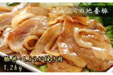かみふらのポーク【地養豚】豚丼・生姜焼き用 ロース 1.2kg  (北海道 肉 焼肉 バーベキュー 希少部位 大容量 BBQ キャンプ 焼くだけ 焼肉 おかず ご飯がすすむ 丼 ぶた肉 お肉 焼き肉 限定 甘い)