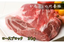 かみふらのポーク【地養豚】ロースブロック2kg お肉 牛肉 (北海道 肉 焼肉 バーベキュー 希少部位 大容量 BBQ キャンプ 焼くだけ 焼肉 ぶた肉 お肉 おかず ご飯がすすむ 丼 焼き肉 限定 甘い)