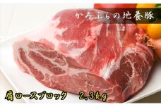 かみふらのポーク【地養豚】肩ロースブロック2.3kg お肉 牛肉 (北海道 肉 焼肉 バーベキュー 希少部位 大容量 BBQ キャンプ 焼くだけ 焼肉  ぶた肉 お肉 おかず ご飯がすすむ 丼 焼き肉 限定 甘い)