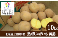 【北海道上富良野町産】蔵出し熟成じゃがいも　黄爵10ｋｇ							
