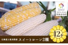北海道 上富良野 町産 スイートコーン 2種 セット 食べ比べ バイカラー 6本 白色 6本 計12本 野菜 とうもろこし トウモロコシ コーン 産地直送 野菜