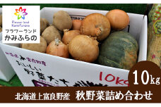 北海道 上富良野 町産 秋野菜 詰め合わせ セット 約 10kg じゃがいも 玉ねぎ かぼちゃ 産地直送 野菜 詰合せ