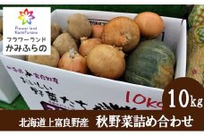 北海道 上富良野 町産 秋野菜 詰め合わせ セット 約 10kg じゃがいも 玉ねぎ かぼちゃ 産地直送 野菜 詰合せ
