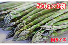 【北海道上富良野町産】B品限定グリーンアスパラ　1.5kg							
