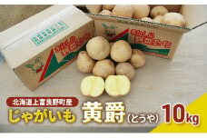 【北海道上富良野町産】かみふらの【じゃがいも】黄爵　10kg							

