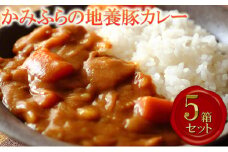 かみふらの地養豚カレー5箱セット