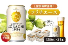 ◆12ヶ月定期便◆上富良野町発祥！伝説のホップ「ソラチエース」使用【SORACHI 1984】350ml×24缶 北海道 上富良野町 ソラチ1984 お酒 酒 飲み物 ビール 地ビール サッポロビール サッポロ ギフト