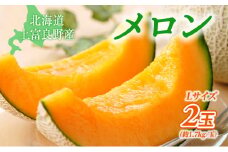 【糖度限界突破】ふらの赤肉メロン Lサイズ（約1.7kg/玉）2玉 2025年発送 北海道 富良野 上富良野 ふらの 赤肉 メロン めろん フルーツ 果物 ふるーつ