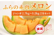 【 2025年発送 先行予約 】ふらの 赤肉メロン 厳選 秀品 ジャンボサイズ 2.7kg～3.2kg 2玉 セット ファーム富良野 メロン めろん 富良野  果物 くだもの フルーツ デザート 北海道