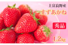 【 2025年 発送 】先行予約 かみふらの産いちご【すずあかね】秀品　300g×4セット