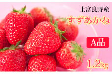 【 2025年 発送 】先行予約 かみふらの産いちご【すずあかね】A品　300g×4セット