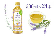 【ラベンダー香るグリーンティー】富良野ラベンダーティー500ml×24本