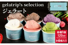 gelatrip's selection ジェラート6個BOX