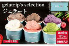 ≪3ヶ月定期便≫gelatrip's selection ジェラート6個BOX