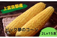 地元上富良野産 ビック夢のコーンとうもろこし15本セット