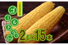 地元上富良野産 とうもろこし ゴールドラッシュ 15本セット