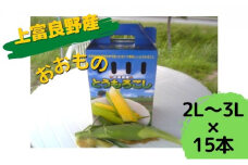 地元上富良野産 とうもろこし おおもの 15本セット