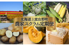 【 2025年 発送 】先行予約 北海道 上富良野【農家スクラム】スペシャル 定期便（4回発送） 上富良野町 メロン とうもろこし トウモロコシ じゃがいも ジャガイモ かぼちゃ カボチャ お米 ゆめぴりか
