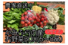 【2025年8月上旬頃から発送】農家直送！ミニトマト500g入り！朝採れ野菜詰め合わせボックスS（6～8品入り）