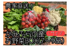 【2025年8月上旬頃から発送】農家直送！ミニトマト500g入り！朝採れ新鮮夏野菜ボックスL（7～9品入り）