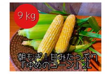 【2025年8月下旬頃から発送】農家直送！朝もぎスイートコーン『ゆめのコーン』2L 20～22本（9kg）
