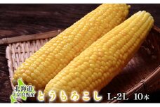 上富良野産とうもろこし（イエロー種）L-2L 10本