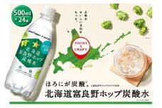 炭酸水 500ml × 24本 北海道富良野ホップ炭酸水 ポッカサッポロ 無糖 北海道富良野ホップ ペットボトル 炭酸飲料 炭酸 ソーダ ソーダ水 飲み物 飲料 ドリンク (有)リカーショップかまだ 北海道 上富良野町