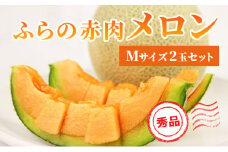 【 2025年発送 先行予約 】ふらの 赤肉メロン 厳選 秀品 Mサイズ 1.3kg～1.6kg 2玉 セット ファーム富良野 メロン めろん 果物 くだもの フルーツ 富良野 デザート 北海道