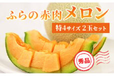 【 2025年発送 先行予約 】 ふらの 赤肉メロン 2kg～2.6kg 2玉 厳選 秀品 特4サイズ セット めろん 果物 フルーツ デザート くだもの 旬の果物 旬のフルーツ ファーム富良野 北海道