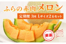 【 2025年発送 先行予約 】定期便 3ヶ月 ふらの 赤肉メロン 厳選 秀品 Lサイズ 1.6kg～1.99kg 2玉 セット ファーム富良野 メロン 果物 フルーツ 富良野 デザート 北海道