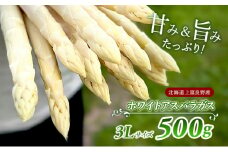先行予約 【 2025年 発送 ！】 北海道 上富良野産 ホワイトアスパラガス 3L サイズ 500g アスパラ ホワイト アスパラガス 上富良野町 令和7年発送 野菜 やさい