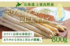先行予約 【 2026年 発送 ！】 北海道 上富良野産 ホワイトアスパラガス 2L サイズ 800g アスパラ ホワイト アスパラガス 上富良野町 令和7年発送 野菜 やさい 