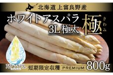先行予約 【 2026年 発送 ！】北海道 上富良野産 ホワイトアスパラガス 3L サイズ 800g アスパラ ホワイトアスパラ 上富良野町 令和6年発送 先行受付 野菜 やさい 