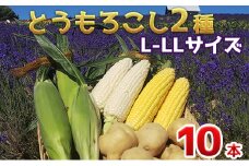 【 2025年 発送 】先行予約 かんのファーム 産 とうもろこし 食べ比べ 10本 セット( じゃがいも 付 )  北海道 上富良野町 とうもろこし トウモロコシ セット じゃがいも ジャガイモ 先行受付