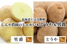 【北海道上富良野町産】しんや農園のじゃがいも「とうや5kg & 男爵5kg」 計10kg