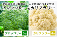 【北海道上富良野町産】しんや農園のつよい野菜「ブロッコリー6個&カリフラワー4個」