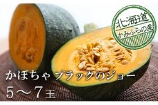 採れたて完熟栗かぼちゃ【ブラックのジョー】5～7玉≪北海道上富良野町産≫