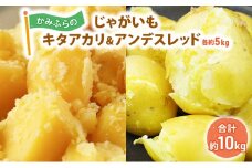 かみふらのじゃがいも「キタアカリ5kg & アンデスレッド5kg」
