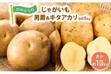 かみふらのじゃがいも「男爵5kg & キタアカリ5kg」