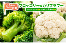 しんや農園の 野菜「ブロッコリー6個 & カリフラワー4個」