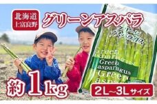 【2025年分先行予約】アスパラ 専門農家の特選グリーンアスパラ 1kg（2L～3L）アスパラガス 原農園 あすぱら 野菜 北海道 上富良野町 令和6年発送
