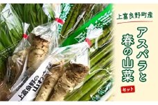 上富良野産 アスパラと春の山菜セット アスパラガス アスパラ 野菜 山菜 北海道