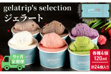 ≪9ヵ月定期便≫gelatrip's selection ジェラート24個BOX