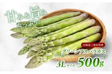 先行予約 【2025年 発送】 北海道 上富良野産 グリーン アスパラガス 3L サイズ 500g アスパラ 上富良野町 令和7年 発送 野菜 やさい【オンライン決済限定】