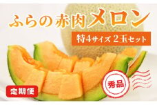 【 2025年発送 先行予約 】 定期便 全3回 メロン ふらの 赤肉メロン 2kg～2.6kg 2玉 厳選 秀品 特4サイズ セット めろん 果物 フルーツ デザート くだもの 旬の果物 旬のフルーツ ファーム富良野 北海道