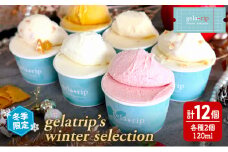 【 冬季 限定 】gelatrip’s winter selection ジェラート 12個 BOX 6種 各2個ずつ 北海道 上富良野町 アイス アイスクリーム デザート ギフト 贈呈 贈り物
