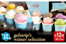 【 冬季 限定 】gelatrip’s winter selection ジェラート 12個 BOX 11種 食べ比べ 北海道 上富良野町 アイス アイスクリーム デザート ギフト 贈呈 贈り物