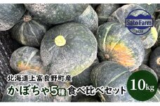 北海道 上富良野 産 かぼちゃ 5種 食べ比べ セット10kg 南瓜 パンプキン 野菜 農家直送 佐藤ファーム